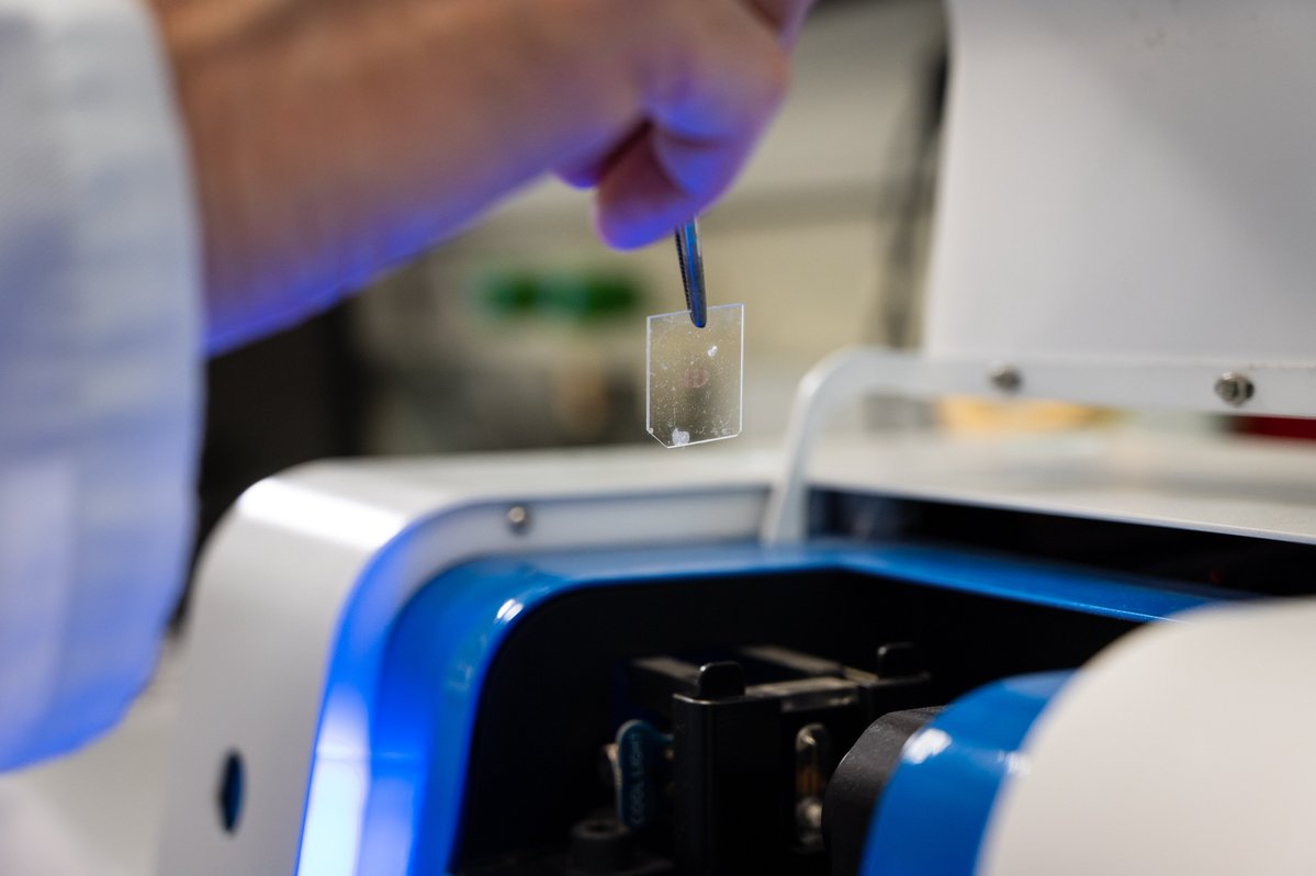 RSTBiomed_CSIC's tweet image. Ya está publicada en nuestra web la noticia sobre la nota de prensa oficial del @CSIC dedicada a RST Biomed!
👉 Te contamos cómo avanza la red
🔗 Échale un vistazo a esta y a más noticias aquí: rst-biomed.csic.es/noticias/