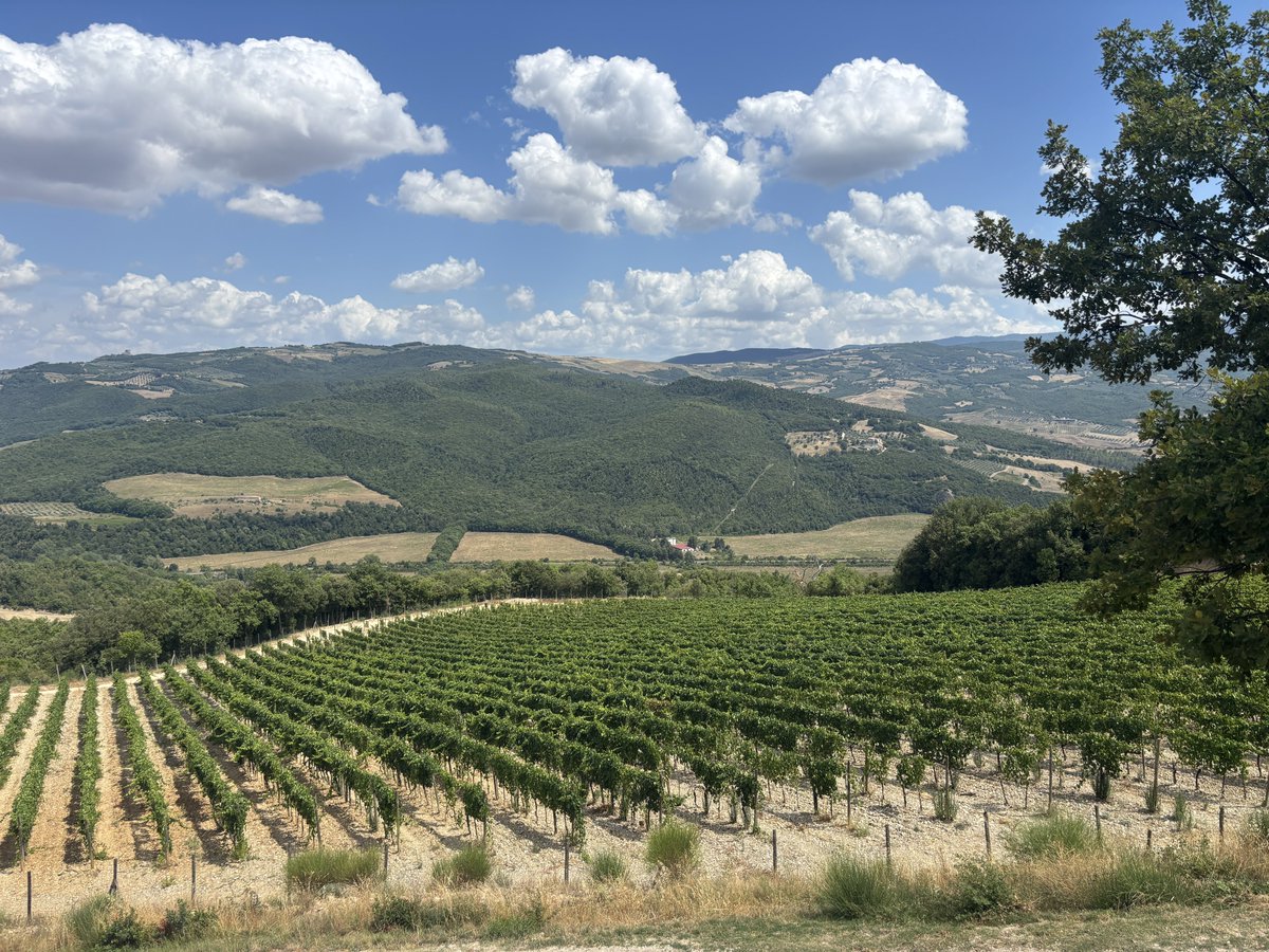 easyfirenze's tweet image. ãã«ãããã¯ã€ããªãŒãã¢ãŒ
ã¢ã³ã¿ã«ããŒãã®åæ±ã®ã¯ã€ã³ã¯ãšã¬ã¬ã³ãããæ®ãã€ã€åªãã飲ã¿ããããããã
ãããŠçœã¯ã€ã³ã®ãã¬ããã¢ãŒããé¢çœãã