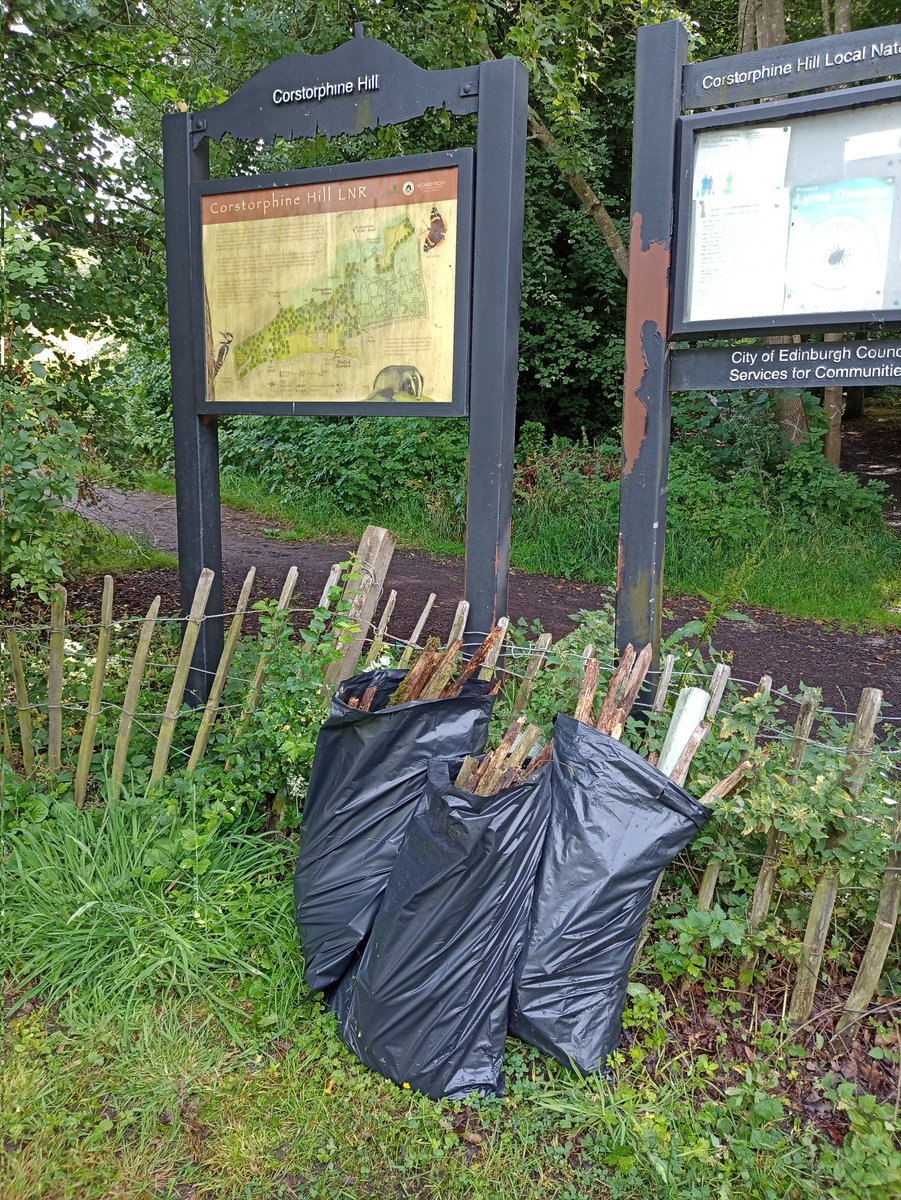 Edinburgh Lone Litter Picker (@edinburghpicker) on Twitter photo After removing a heap of #plastic tree guards, I went back up #CorstorphineHill to remove bundles of stakes I'd left behind.
Treated wood, so no place for them in #nature ๐ณ
Bagged them up for collection . The kind of thing a friend of Corstorphine Hill does.
<a href="/FOCorstorphineH/">Friends of Corstorphine hill</a> After removing a heap of #plastic tree guards, I went back up #CorstorphineHill to remove bundles of stakes I'd left behind.
Treated wood, so no place for them in #nature ๐ณ
Bagged them up for collection . The kind of thing a friend of Corstorphine Hill does.
<a href="/FOCorstorphineH/">Friends of Corstorphine hill</a>