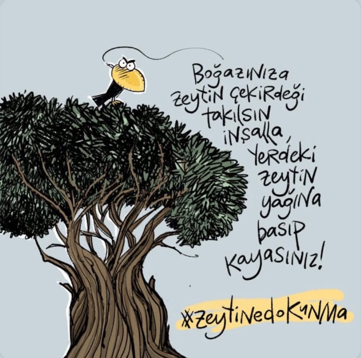🔴🌿Zeytin ağacı,;🌿

🔴Tarih boyunca ,;

 💥Barışın, 

💥Kutsallığın, 

💥Bereketin, 

💥Bilgeliğin 

💥Saflığın 

🔴sembolü haline geldi.