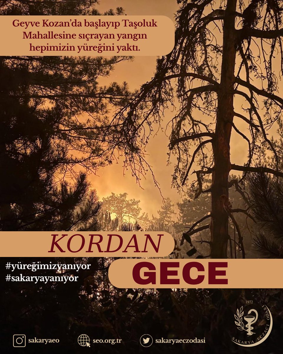 sakaryaeczodasi's tweet photo. Sakarya Geyve ilçemizde başlayıp mahallelere kadar sıçrayan orman yangını içimizi yaktı. Kısmen kontrol altına alınan ve soğutma çalışmaları süren bu afeti bir daha yaşamamak dileğiyle tüm vatandaşlarımıza geçmiş olsun.
#yüreğimizyanıyor https://t.co/OYnyo7MAAk