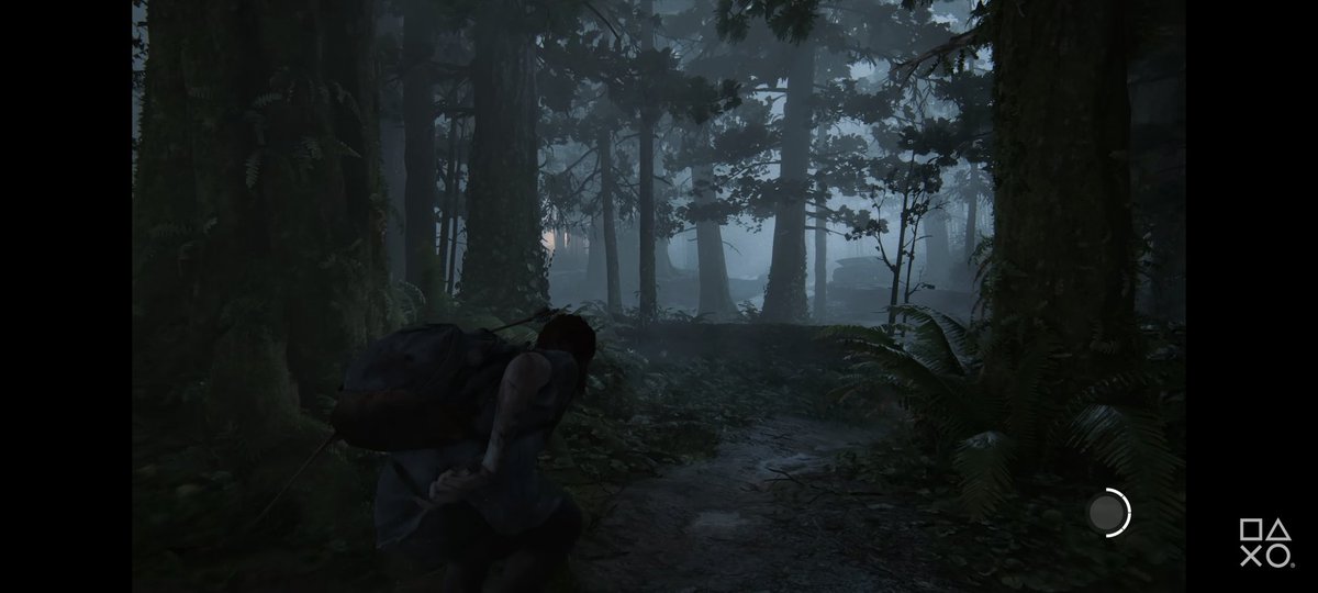 carlos_alcaide.05 tweet media