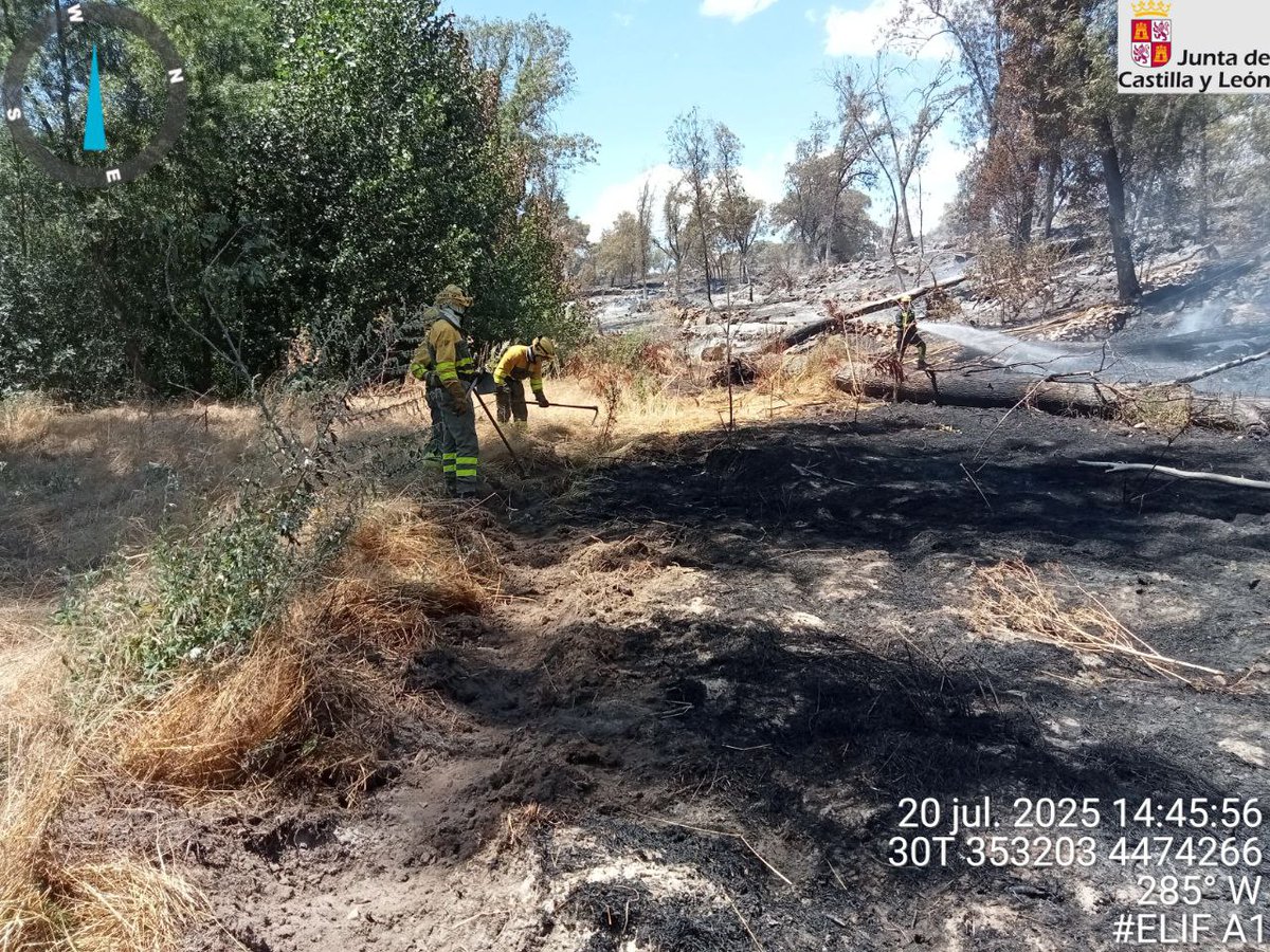 naturalezacyl's tweet photo. Seguimos trabajando en #IFNavaluenga. Aún hoy sucede lo que veis en la imagen.
Es el momento de reconocer el magnífico trabajo de todos los intervinientes bajo gestión de #INFOCAL de @jcyl
@Mitecogob
@dipuavila
@112cyl
@112cmadrid
@UMEgob
@guardiacivil
#ProtecciónCivilJuntaCyL https://t.co/c6eS5Vf0ZF
