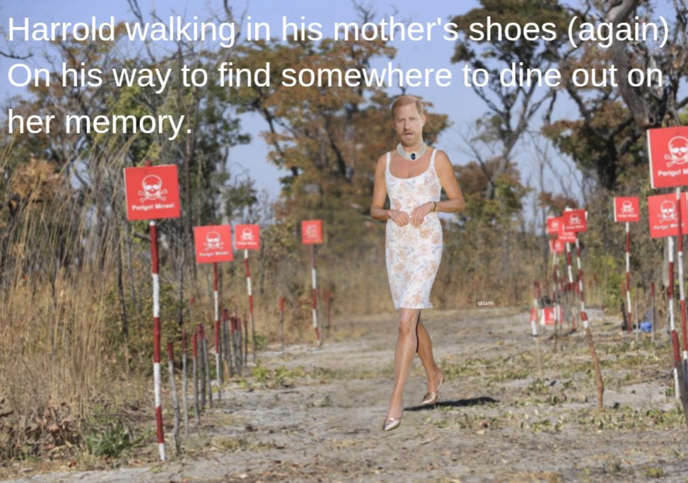 ali508728095623's tweet image. #HaplessHarry #Hazbeen #DiningOutOnHisLateMothersMemoryAgain #GlobalJoke