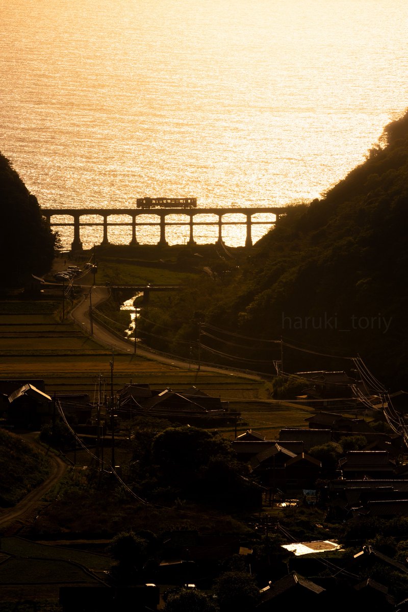 haruki_toriy's tweet image. &quot;金色の海を渡る&quot;

海が輝く美しい時間
#海の日