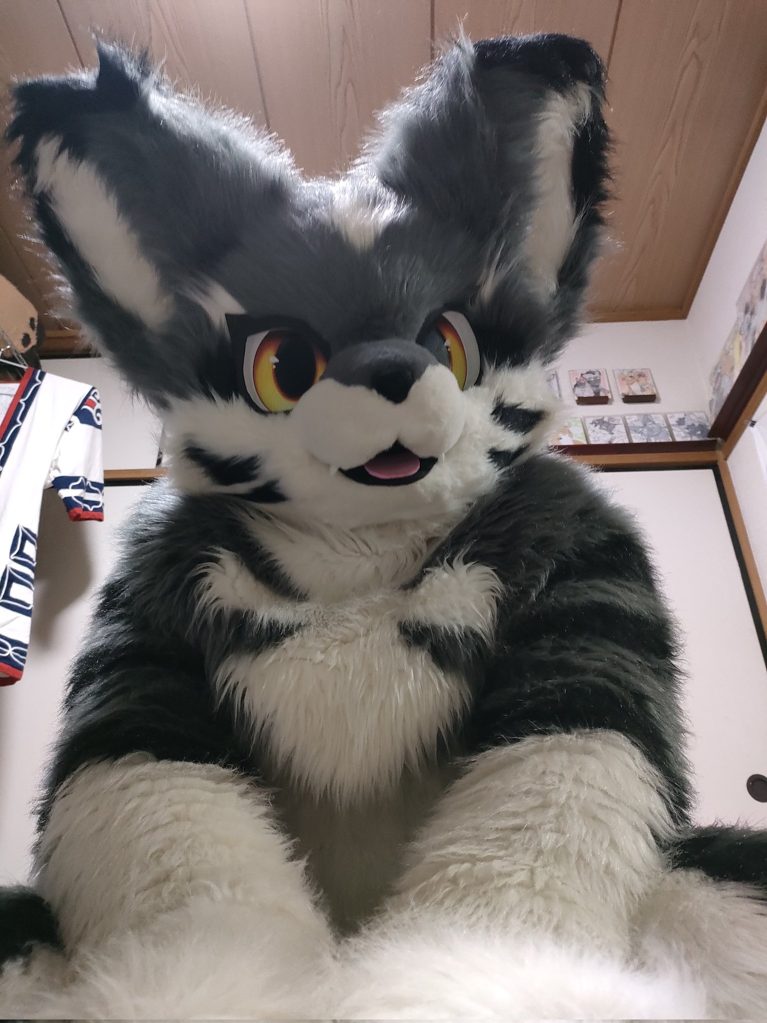 蝶と犬 Cheng-Ren🦊🐺 on X: 