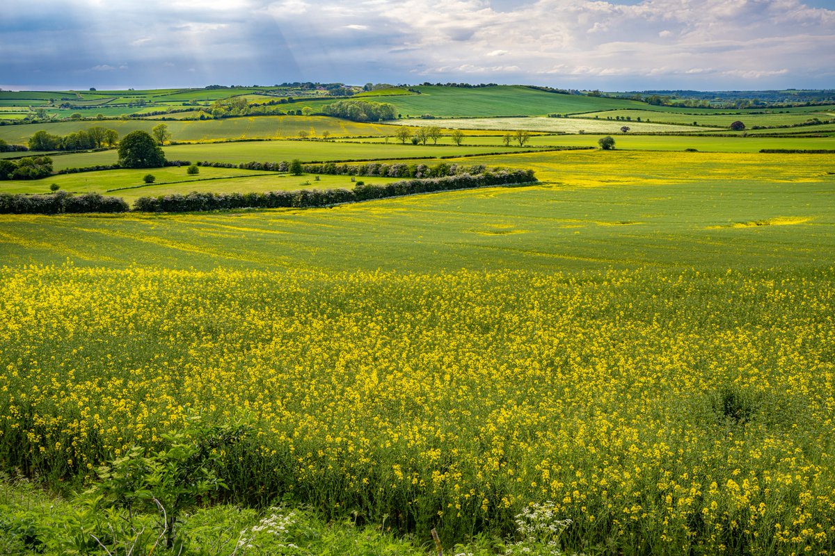 LincolnshireCC's tweet image. 🎉 Big news for Greater Lincolnshire! 🎉
In 2024, our visitor economy surpassed £3 billion for the first time ever!
Despite national challenges, tourism, leisure, and hospitality across the county continue to thrive — thanks to the resilience of local businesses and the…