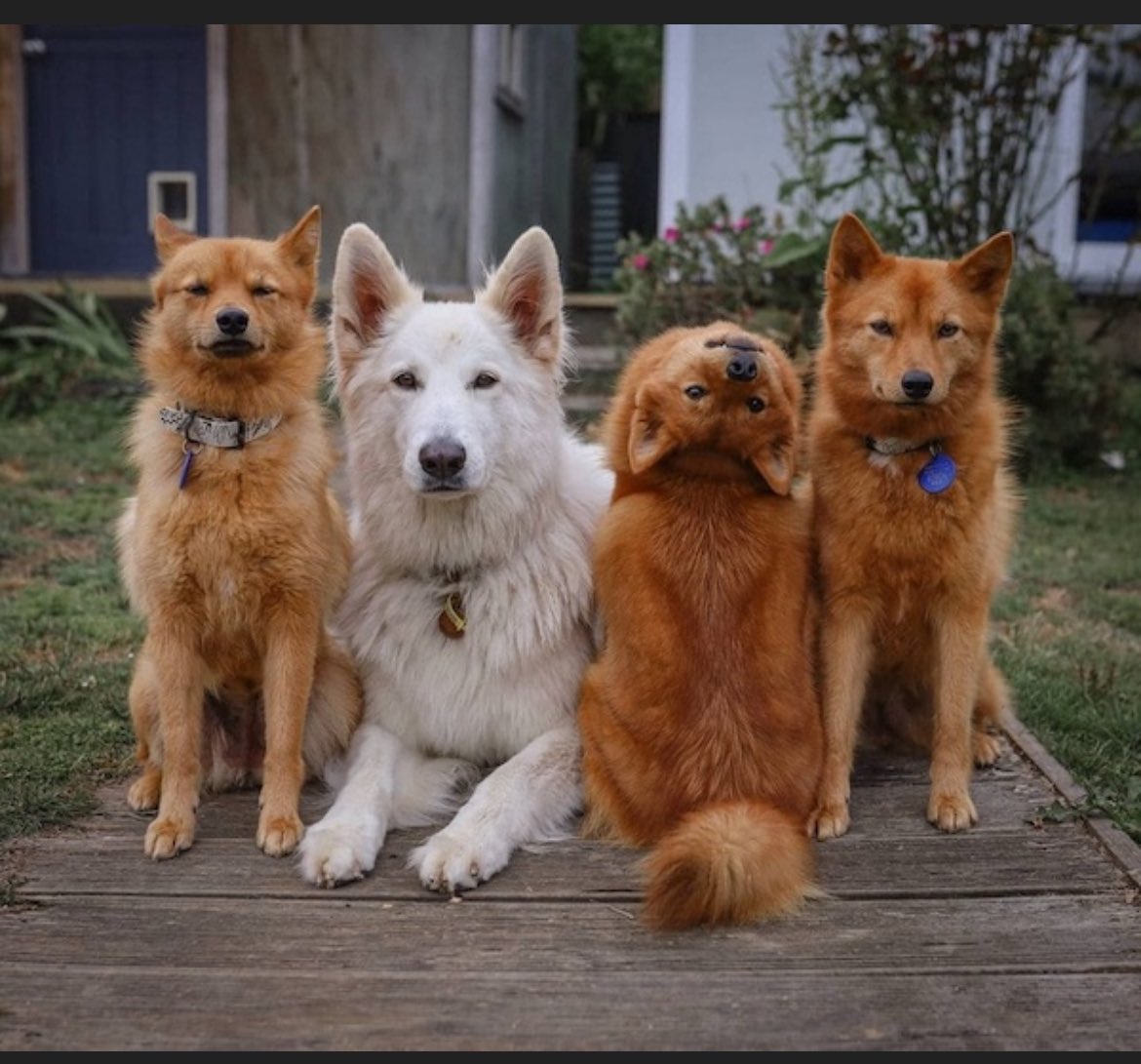 There is always one.