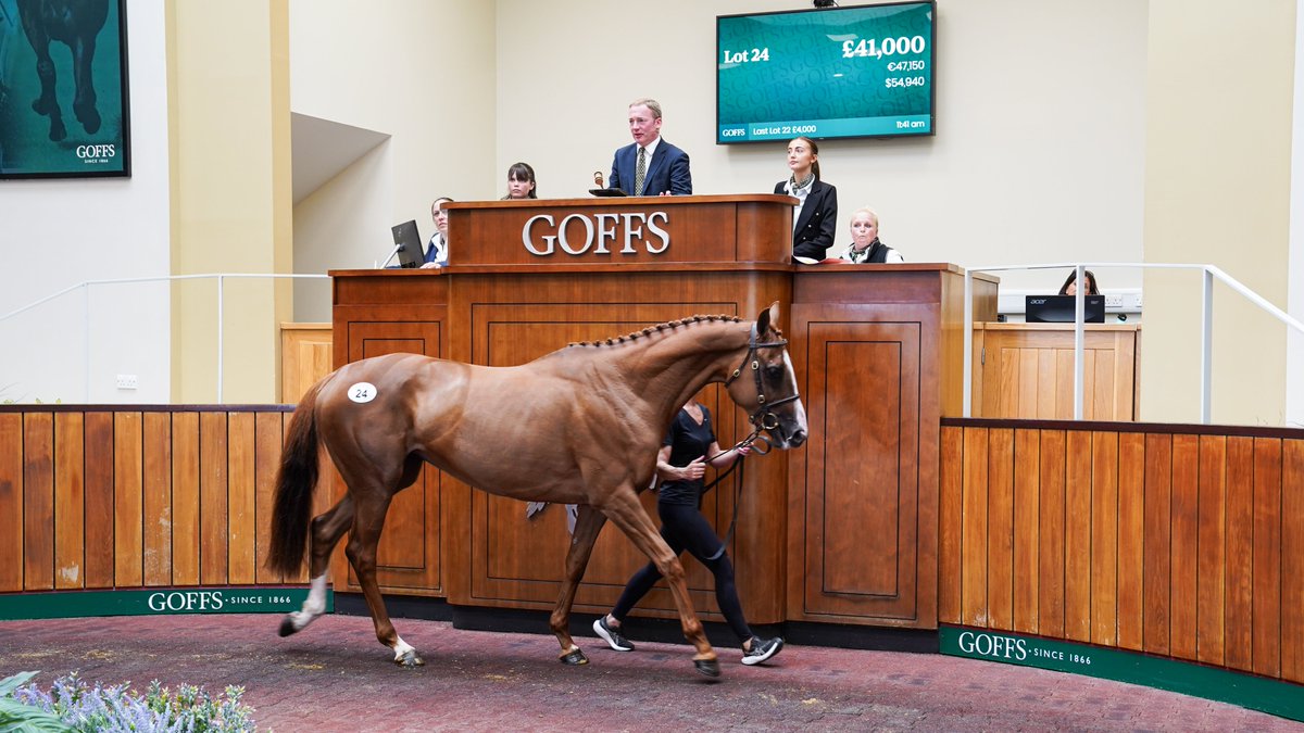 Goffs UK (@goffsuk) on Twitter photo Lot 24 PIGEON FORGE , a 4YO F by Well Chosen who was the 10-length winner on her most recent <a href="/irishp2p/">p2p.ie</a> start for <a href="/colinboweracing/">Colin Bowe Racing</a>, is purchased by <a href="/TMBloodstock/">TomMaloneBloodstock</a> for £41,000.
#GoffsSummer Lot 24 PIGEON FORGE , a 4YO F by Well Chosen who was the 10-length winner on her most recent <a href="/irishp2p/">p2p.ie</a> start for <a href="/colinboweracing/">Colin Bowe Racing</a>, is purchased by <a href="/TMBloodstock/">TomMaloneBloodstock</a> for £41,000.
#GoffsSummer