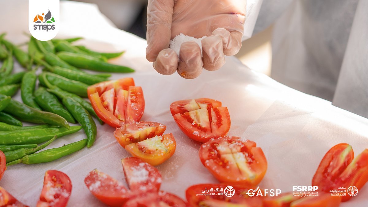 SMEPSYEMEN's tweet image. Empowering #women for sustainable projects! 🥫
In #Taiz, #SMEPS trained 22 women in food industries & SME financial management in commercial food manufacturing, organizational structure, costs, asset depreciation & pricing.
@WorldBankMENA @FAOYemen
#FSRRP