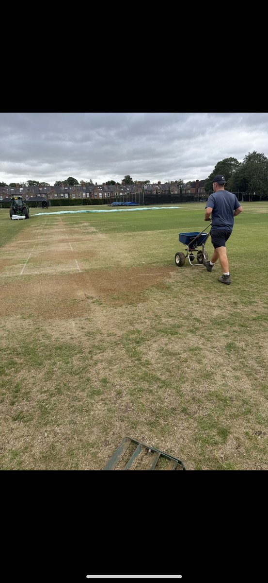 ryan pepper tweet media