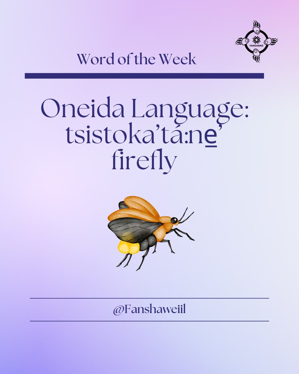 🌿 Weekly Indigenous Word Series – Week 3 🌿
This week’s word comes from Oneida: tsistoka’tá:ne̲’
firefly
Let’s keep shining a light on Indigenous languages—one word at a time.
#OneidaLanguage #weeklyword  #iil #institueofIndigenouslearning