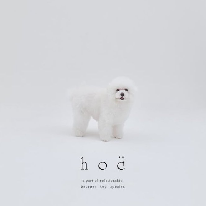 hkr_jgimsld's tweet image. Nice to meet you, we are hoc̈!
ほバの発売を8/3(日)に決定しました!
それと同時にペットブランド「hoc̈」をローンチします。
これからペットと人とのつながりを補完する、ペットのお世話をタスクではなくかけがえのない時間に変換するためのプロダクトを届けます!
instagram.com/hoc.jp?igsh=cn…