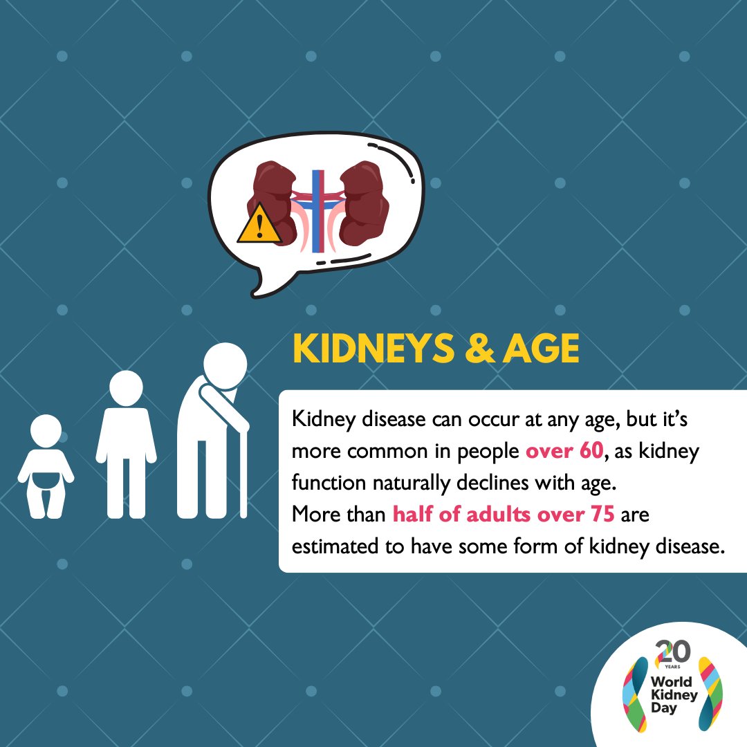 Kidney health becomes even more important as we age. Kidney function naturally declines over time, and people over 60 are at higher risk of developing kidney disease—often without noticeable symptoms. Early check-ups can help protect your kidneys as you grow older.