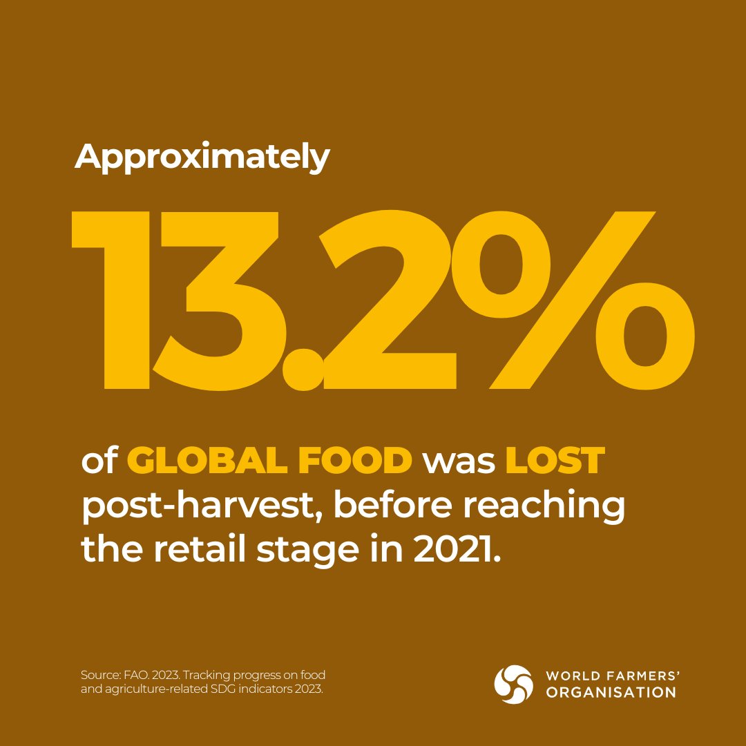 No #farmer wants to see their harvest go to waste, yet much is beyond their control, from extreme weather to market barriers. 
 
At #WFO, we champion farmer-led strategies to cut post-harvest #FoodLoss and drive action on #FoodWaste in the food chain.

📃 ow.ly/ZHjR50WirUb