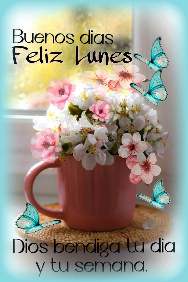 BUENOS DIAS!!
A TODOS MIS QUERIDOS AMIG@S DE X, LES DESEO UN FELIZ LUNES Y UNA EXCELENTE SEMANA. QUE EL CREADOR LIS BENDIGA Y PROTEJA SIEMPRE.🙏🍀☕