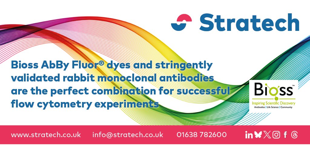 Stratech_UK's tweet image. Fun fact: @Biossusa AbBy Fluor® dyes and stringently validated rabbit #monoclonal #antibodies are the perfect combination for successful #flowcytometry experiments
8 colours availables from 350 to 750nm
🔗tinyurl.com/ynz22dub
#labreagents #reagents #bioscience #diagnostics