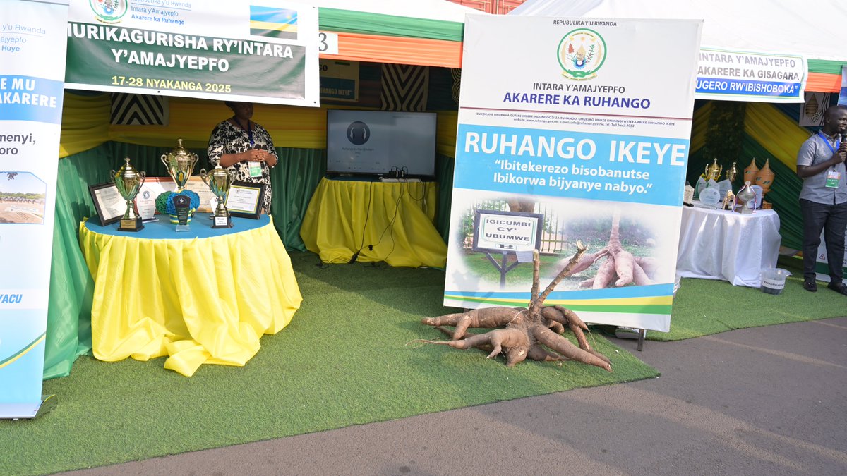 RuhangoDistrict's tweet image. Mukomeze mwitabire imurikagurisha ry'abikorera mu Ntara y'Amajyepfo riri kubera @HuyeDistrict , musure aho @RuhangoDistrict iri kwakirira abitabira, musobanurirwe uko mwarushaho gukora ubuhinzi bw'igihingwa cy'imyumbati buguzezweho by'umwihariko butangiza ibidukikije.