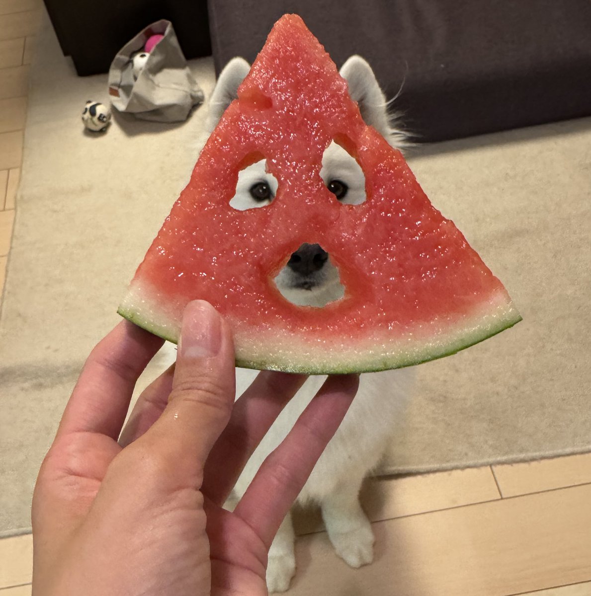 snowski1008's tweet image. やってみたかったの🍉
