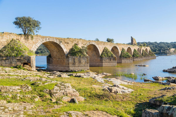 Spain in Ireland (@spaininireland) on Twitter photo 🆕Spanish and Portuguese destinations unite in a single Iberian destination
👉 spaintravelnews.co.uk/001937_spanish…
#VisitSpain #YouDeserveSpain #SpainNews <a href="/extremadura_tur/">Extremadura Turismo</a> 🆕Spanish and Portuguese destinations unite in a single Iberian destination
👉 spaintravelnews.co.uk/001937_spanish…
#VisitSpain #YouDeserveSpain #SpainNews <a href="/extremadura_tur/">Extremadura Turismo</a>