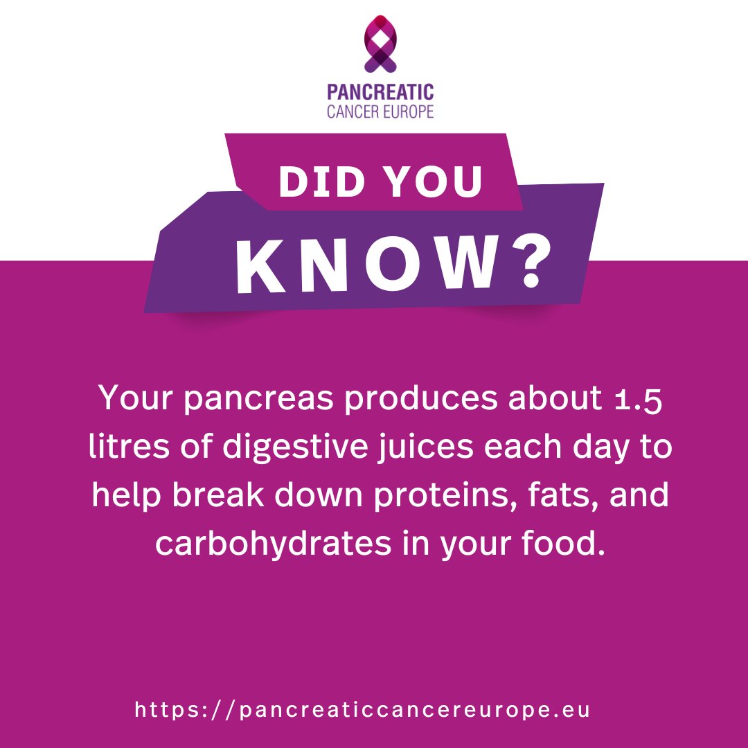 P_C_E_'s tweet image. 🟣 Did you know?

Your pancreas produces about 1.5 litres of digestive juices every day to help break down proteins, fats, and carbohydrates in your food.

This powerful little organ is working hard behind the scenes every time you eat.
🔗 Learn more: pancreaticcancereurope.eu