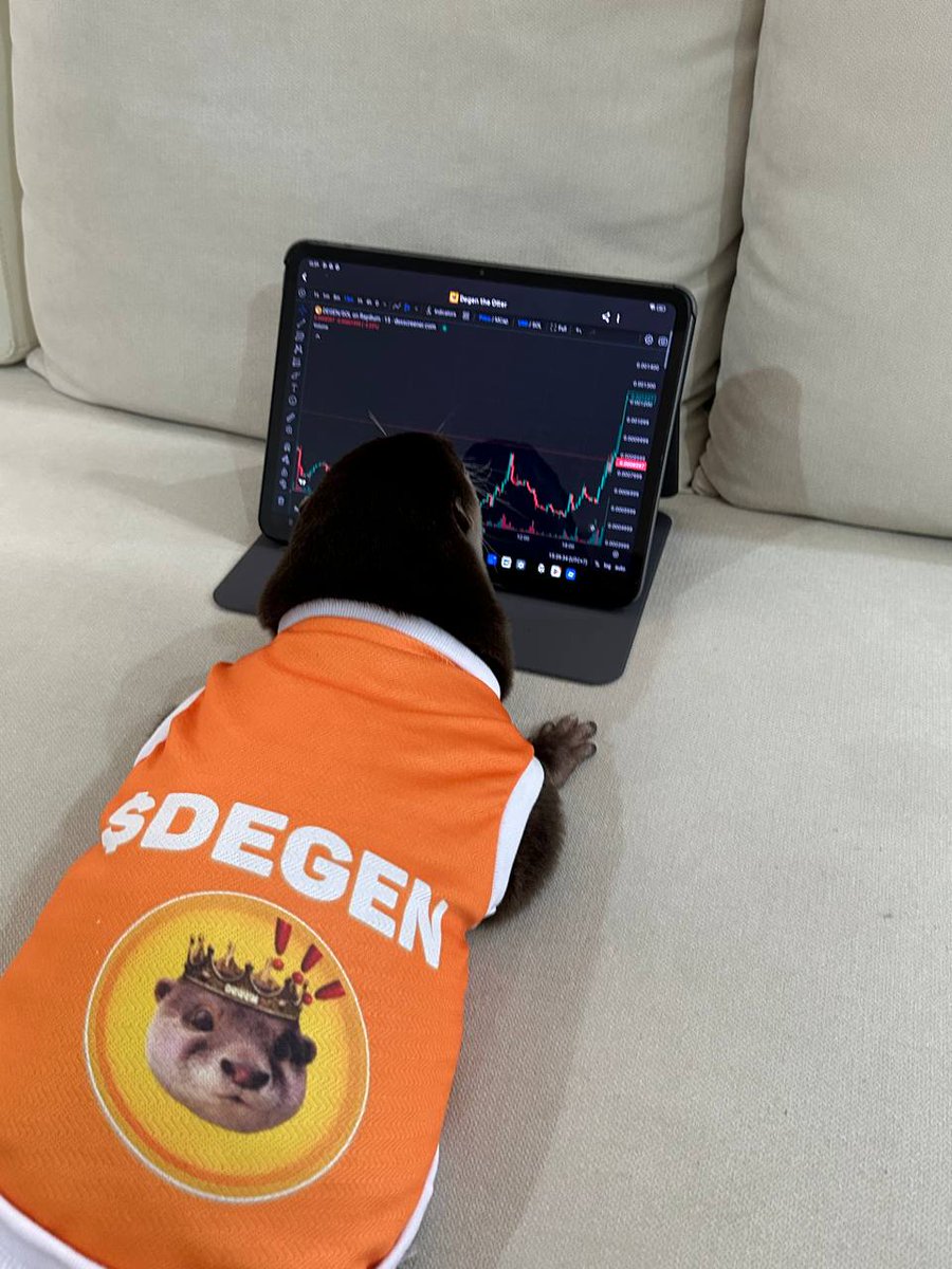 degenonbonk's tweet image. $BONK needs an animal runner?
$DEGEN is here to save the trenches.
He’s locked in. Charts up. Snacks down.
This otter didn’t come to play he came to print. 🦦📈