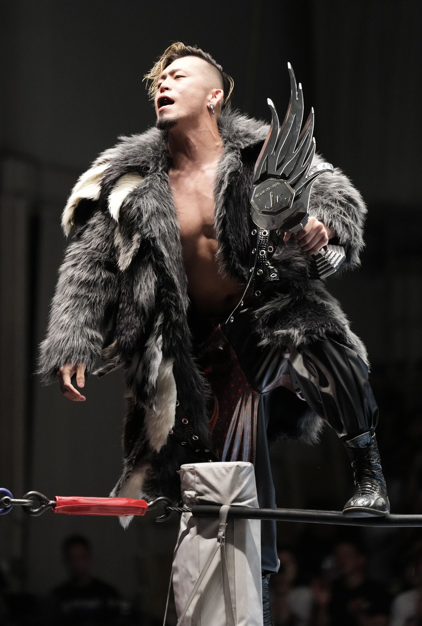藤田晃生/ Kosei Fujita (@njpw_Fujita) / X