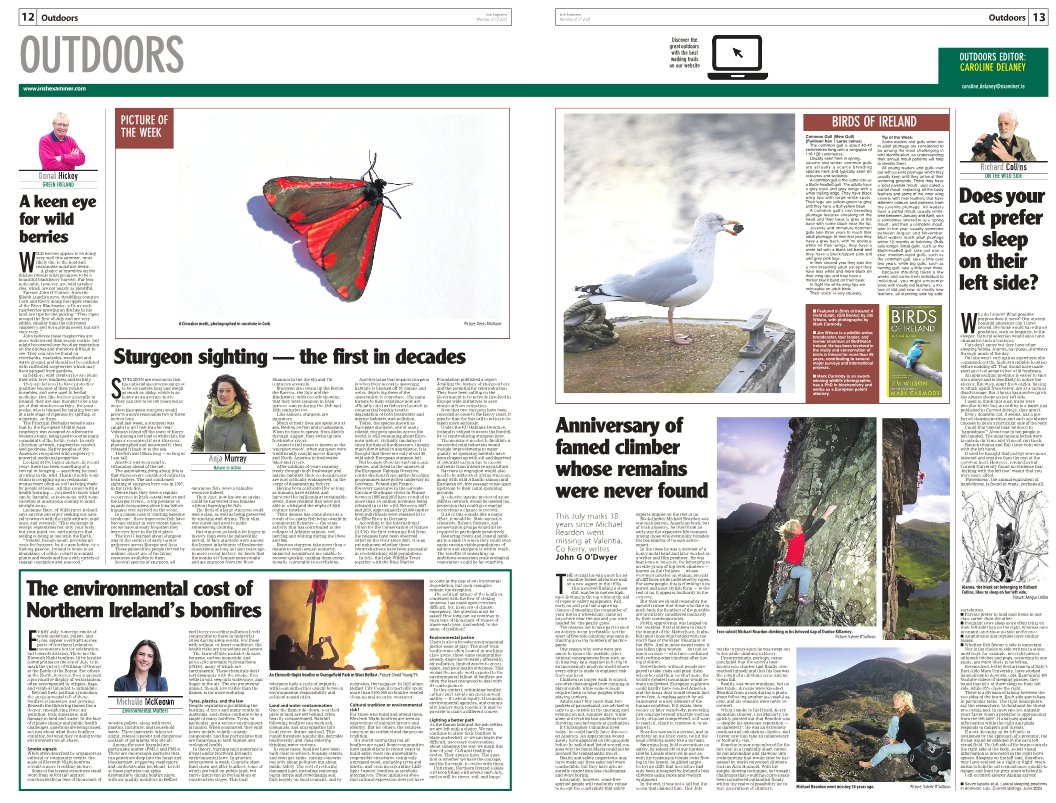 CarDelaney's tweet image. exa.mn/t7
‣ Wild raspberries
‣ Left- or right-handed cats — scientists investigate
‣ First sturgeon sighting in Irish waters in decades
‣ Environmental cost of bonfires
‣ Free climber Michael Reardon&apos;s anniversary
 #BirdsofIreland — common gull
📷 cinnabar moth