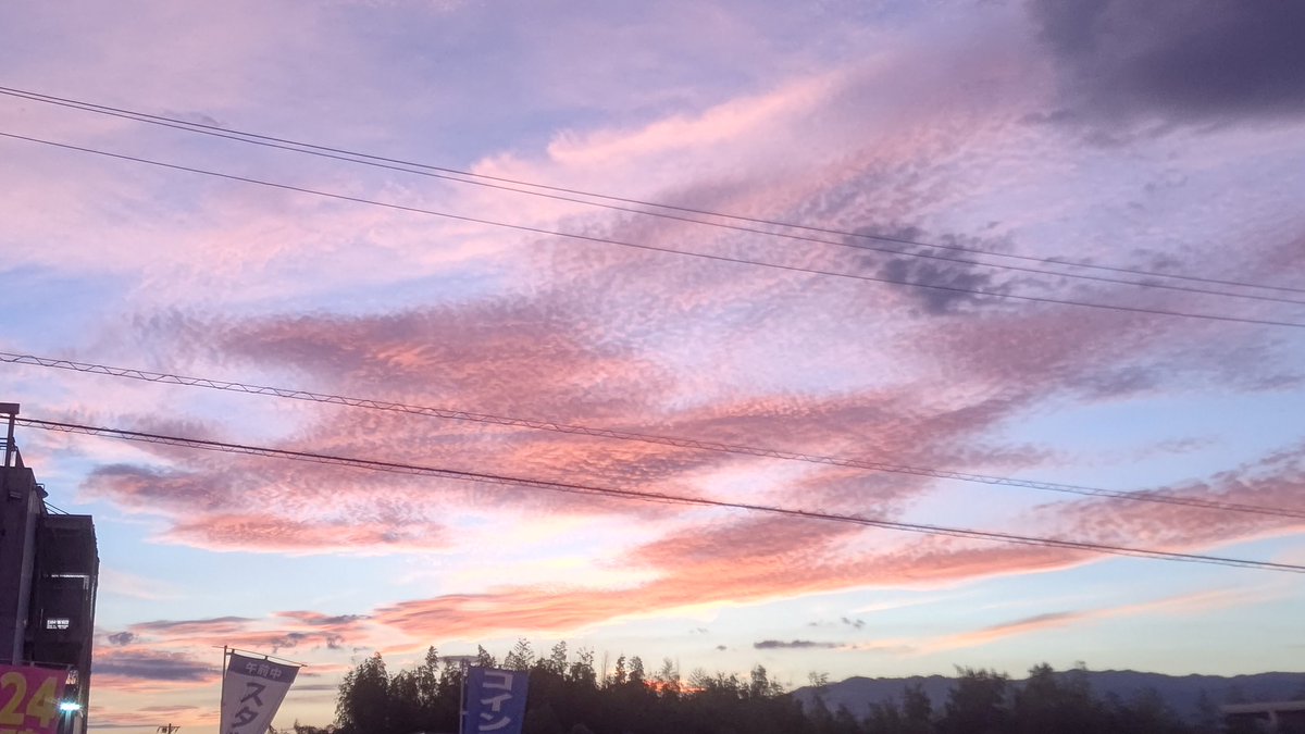 すごい綺麗な鱗雲でした！

なんかフッとした瞬間のサプライズが嬉しい