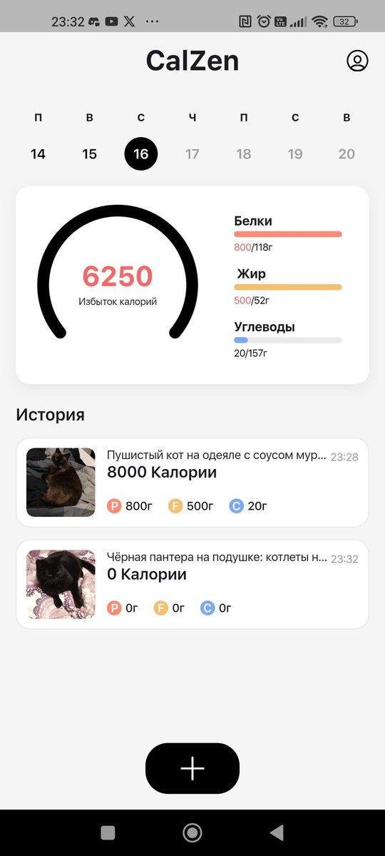 SaiprinSK's tweet image. Нет ну вы видели? Calzen по котам смешнинки делает каждый раз разные