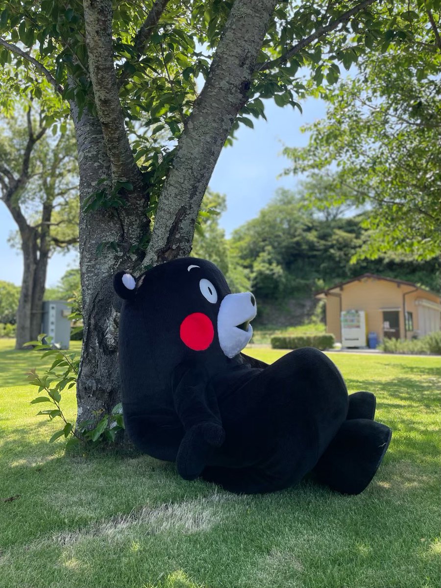 くまモン【公式】 (@55_kumamon) / X