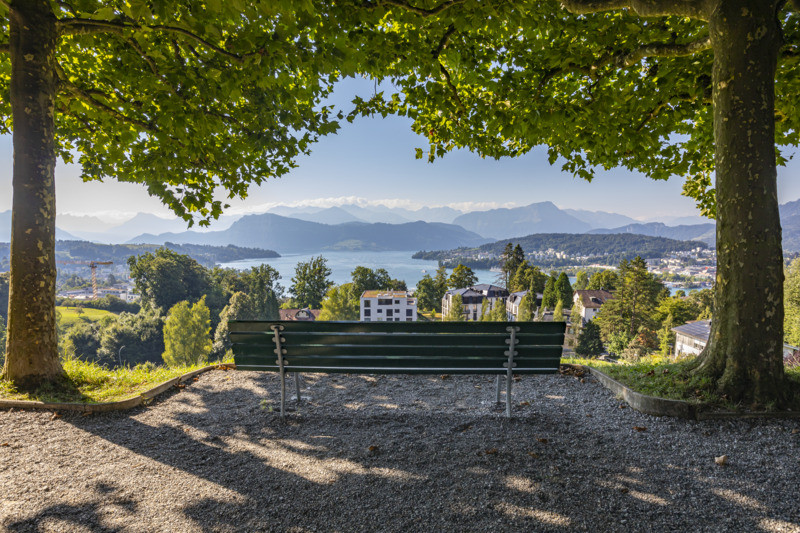 GPentelie's tweet photo. Bench in Dreilinden Park, overlooking Luzern, Switzerland: https://t.co/aXDonvxFrx