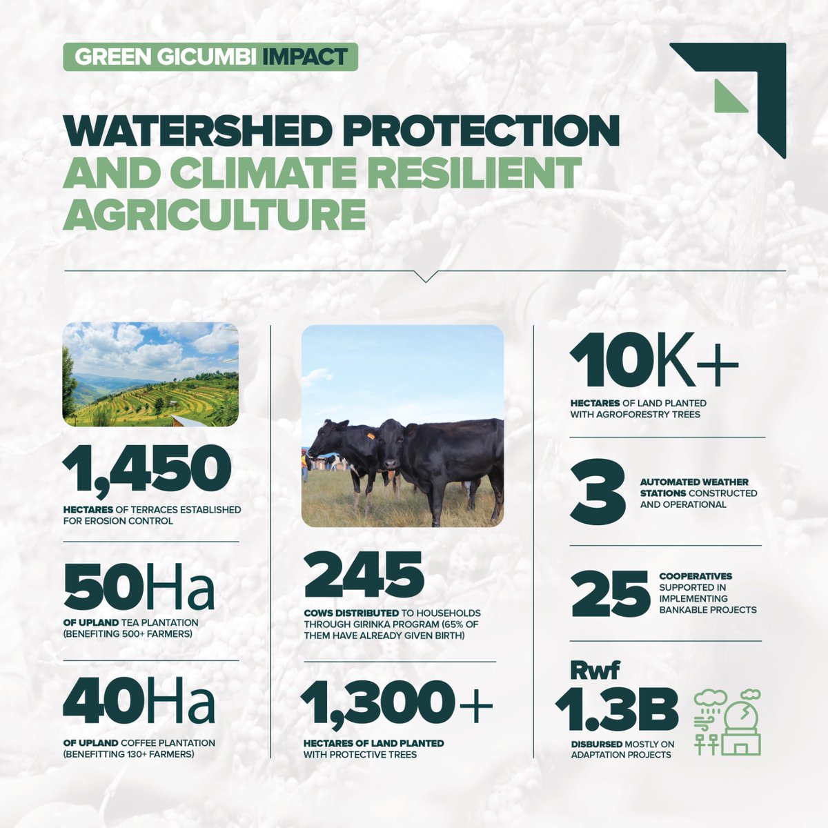 Green Gicumbi Project | Northern Rwanda (@greengicumbi) on Twitter photo #OurImpactInNumbers🌿
Over the past 6 years, we've prioritized climate-resilient agriculture, building terraces to fight erosion & boost yields. This has transformed the livelihoods of rural communities.
Supporting farmers has remained at the heart of the #GreenGicumbi. <a href="/theGCF/">Green Climate Fund</a> #OurImpactInNumbers🌿
Over the past 6 years, we've prioritized climate-resilient agriculture, building terraces to fight erosion & boost yields. This has transformed the livelihoods of rural communities.
Supporting farmers has remained at the heart of the #GreenGicumbi. <a href="/theGCF/">Green Climate Fund</a>