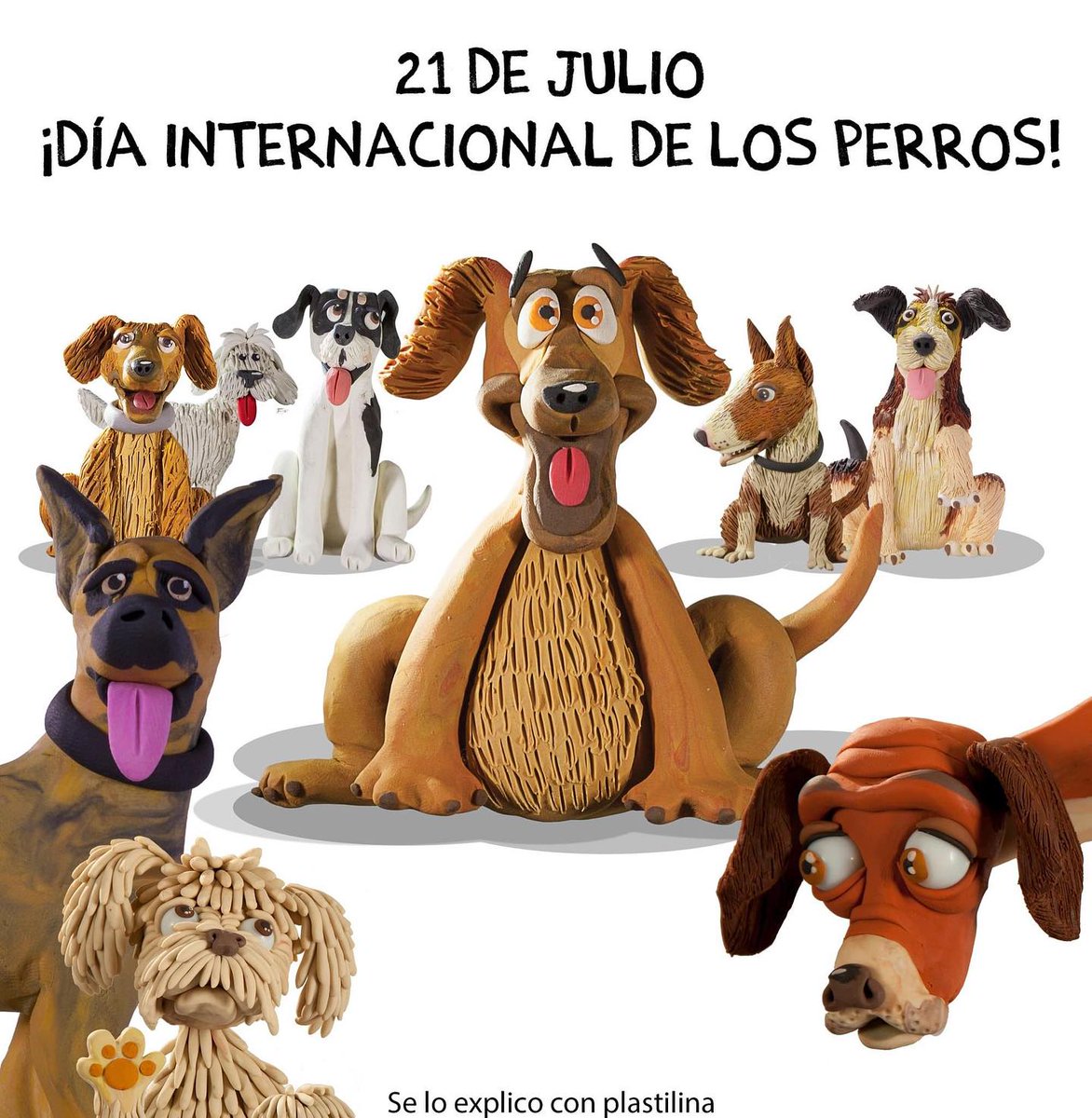 #DiaDelPerro  Feliz día mis perritos!!