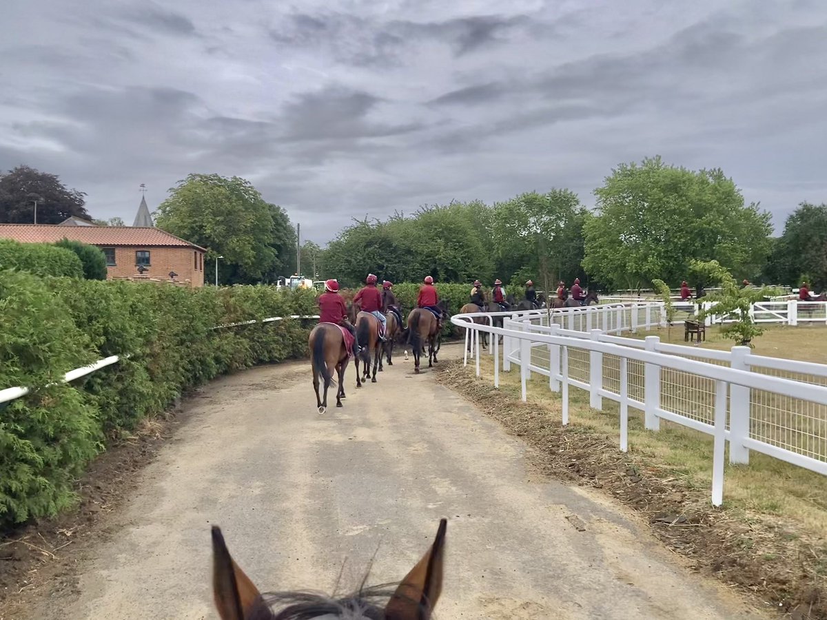 JohnWathenBerry's tweet image. We had a fair bit of rain in Newmarket over the weekend, mostly Saturday afternoon plus a bit more on Sunday. Drizzled off & on this morning but it’s brightening up this afternoon. Still very warm, currently 18 degrees.