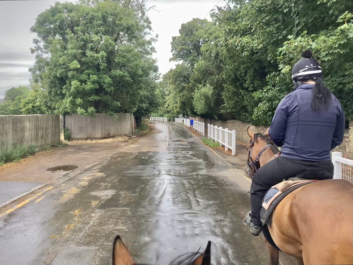 JohnWathenBerry's tweet image. We had a fair bit of rain in Newmarket over the weekend, mostly Saturday afternoon plus a bit more on Sunday. Drizzled off & on this morning but it’s brightening up this afternoon. Still very warm, currently 18 degrees.