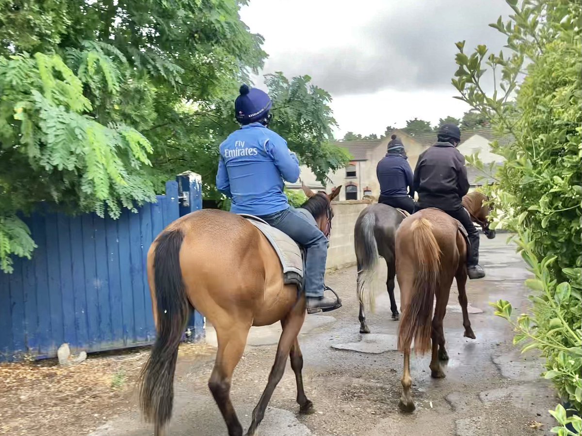 JohnWathenBerry's tweet image. We had a fair bit of rain in Newmarket over the weekend, mostly Saturday afternoon plus a bit more on Sunday. Drizzled off & on this morning but it’s brightening up this afternoon. Still very warm, currently 18 degrees.