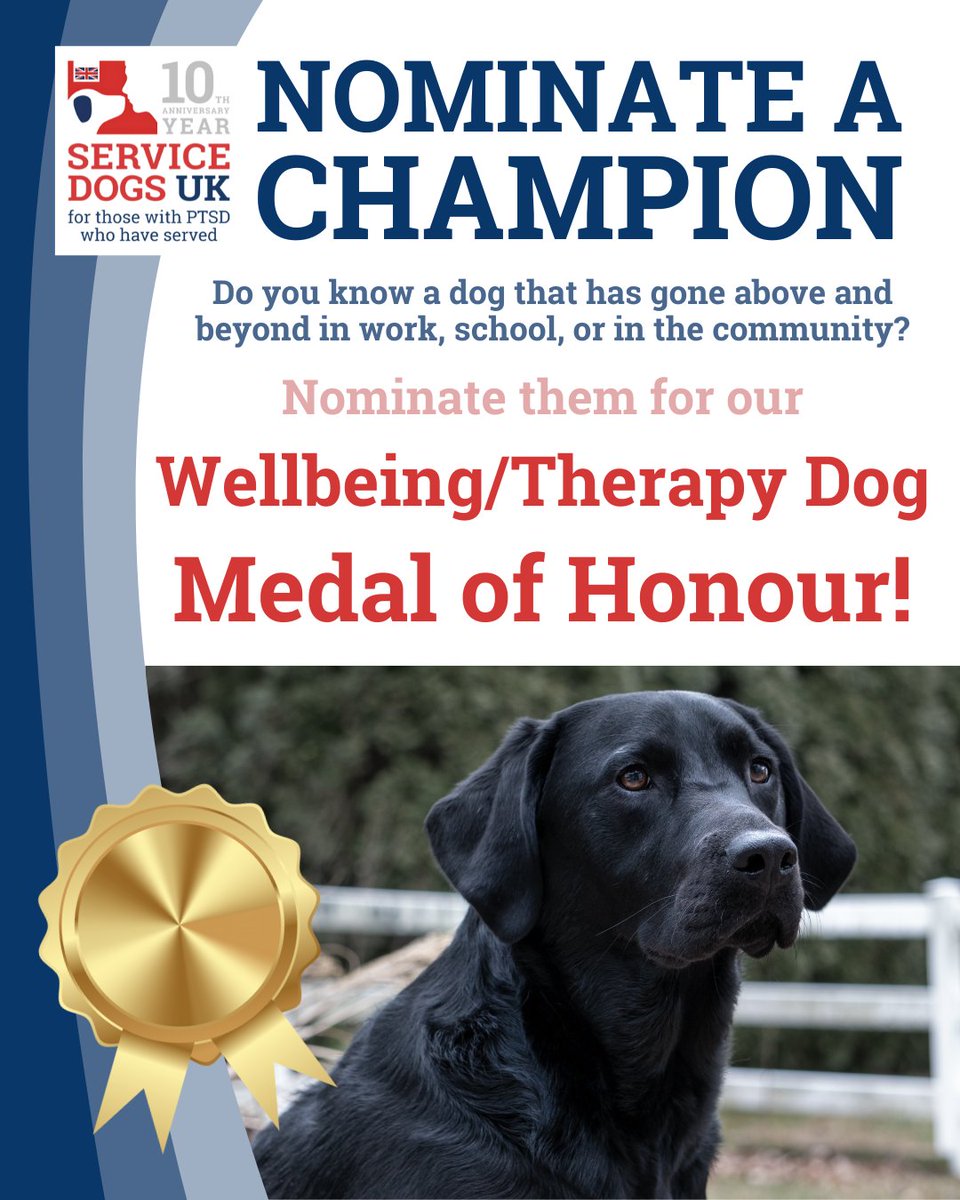 ServiceDogsUK's tweet image. Know a dog who lifts spirits each day?
If you know a dog bringing comfort, joy, and emotional support in care, therapy, or wellbeing settings, we want to hear their story 🐾❤️
Nominate your hero 👉 servicedogsuk.org/dmad-wellbeing…
Let’s celebrate dogs who make the world a kinder place!