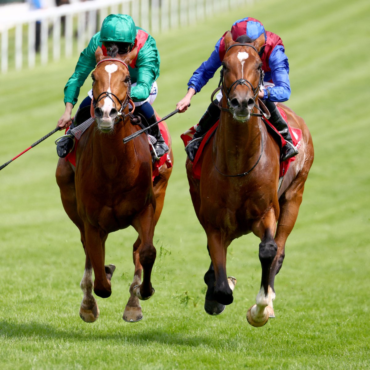 World Pool (@worldpool) on Twitter photo Confirmations for Saturday’s G1 King George VI And Queen Elizabeth Stakes:
▫️ CALANDAGAN
▫️ CONTINUOUS
▫️ GREEN IMPACT
▫️ JAN BRUEGHEL
▫️ KALPANA
▫️ LAMBOURN
▫️ REBEL'S ROMANCE
▫️ WHIRL
#WorldPool | <a href="/Ascot/">Ascot Racecourse</a> Confirmations for Saturday’s G1 King George VI And Queen Elizabeth Stakes:
▫️ CALANDAGAN
▫️ CONTINUOUS
▫️ GREEN IMPACT
▫️ JAN BRUEGHEL
▫️ KALPANA
▫️ LAMBOURN
▫️ REBEL'S ROMANCE
▫️ WHIRL
#WorldPool | <a href="/Ascot/">Ascot Racecourse</a>