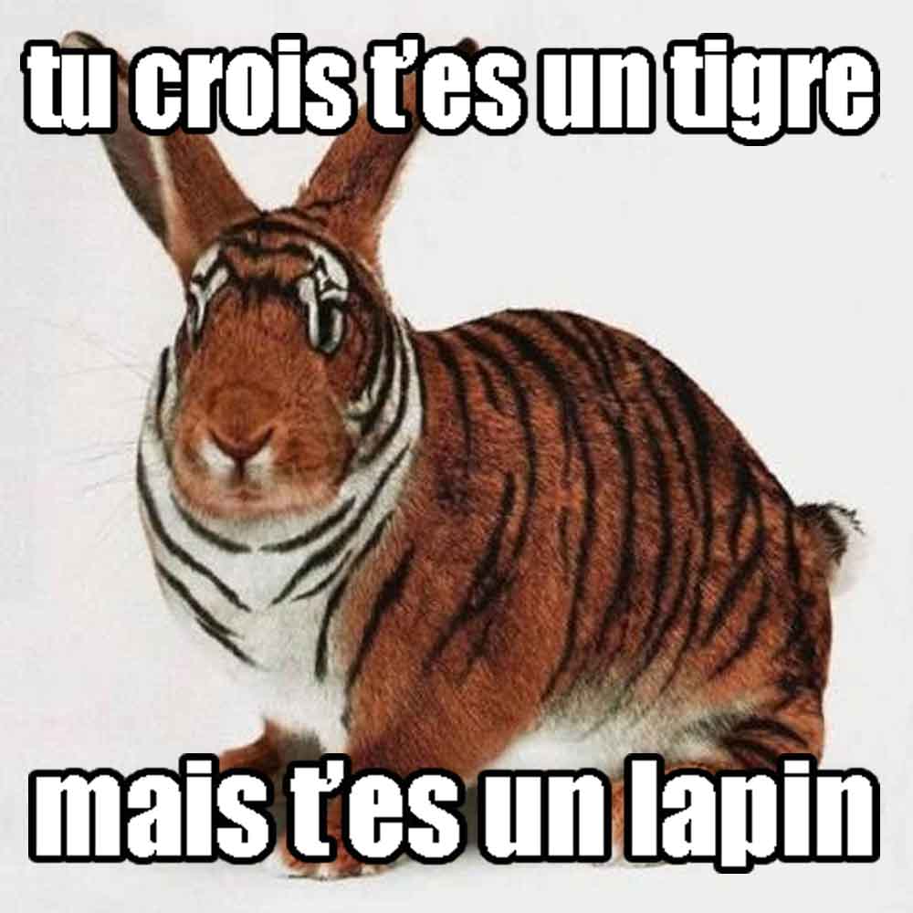 Fleihtz's tweet photo. @bj_gooseman L'employeur a dû te voir comme sa https://t.co/RhOOLIxNHS