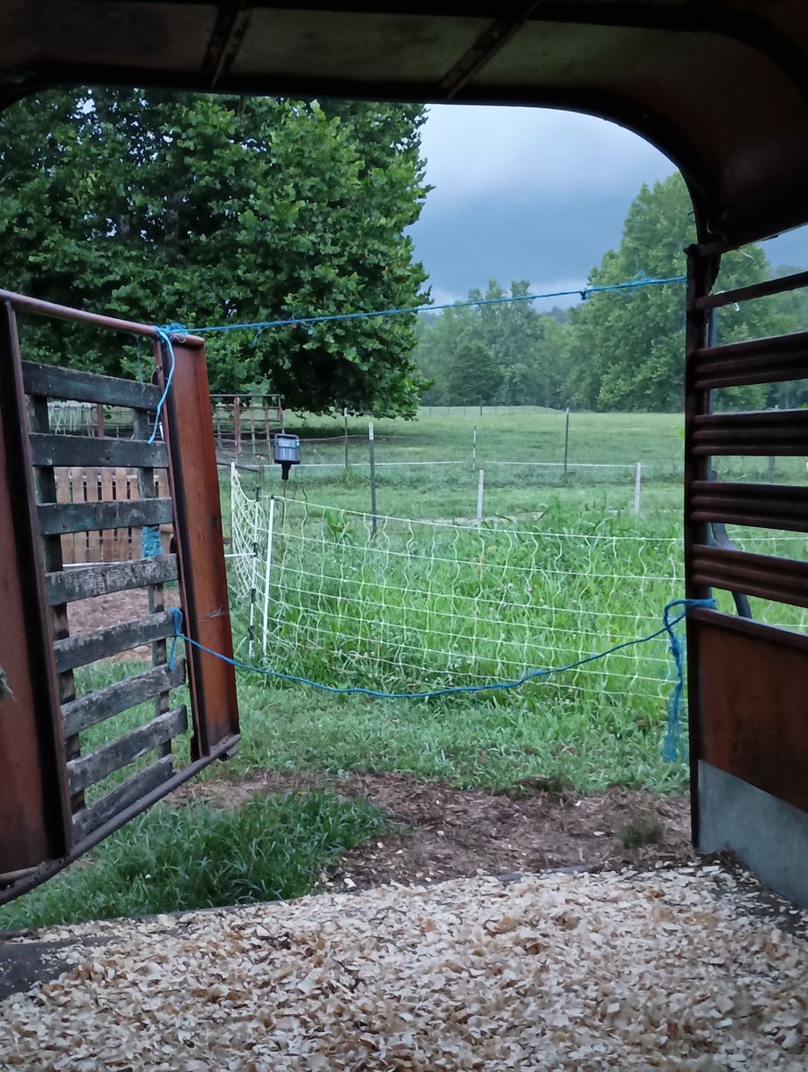 DRanchLife's tweet image. Happy Monday! Watching the storm clouds roll in from the milking trailer this morning. It's been a few days, we can use the rain.
It's now 6:10 a.m., rise and shine!