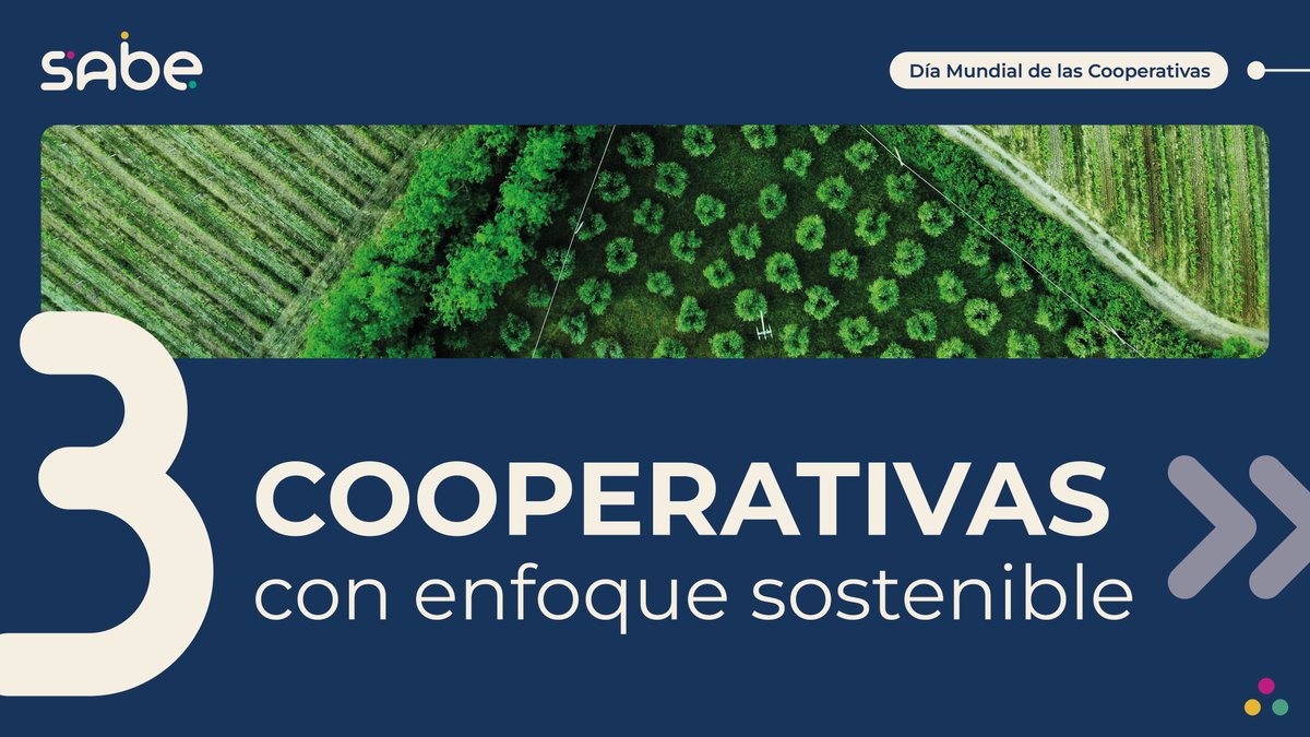 Comunidad_Sabe's tweet image. 🌍Hoy es el #DíaMundialDeLasCooperativas. Este año te hemos presentado varias iniciativas:
🤝Sustentta, impulsado por @RED2REDCons y @fdnc_es
🛒@redsupercoops
🔁#BIKOnsulting
¡Pero hay muchas más!
Gracias por demostrar que producir, consumir y decidir juntas es posible.👏