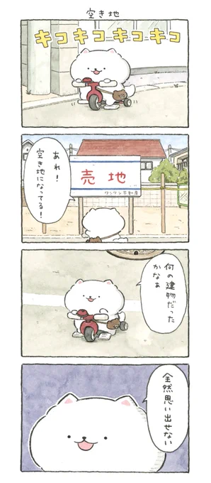 空き地 