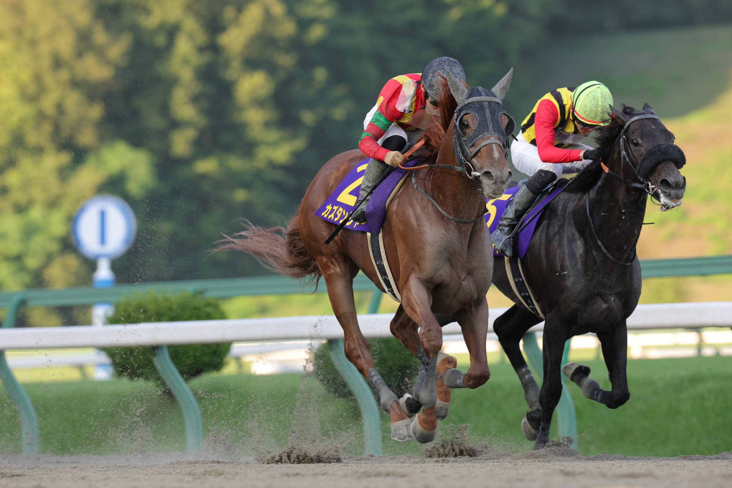 岩手競馬【IWATEKEIBA】 on X: 