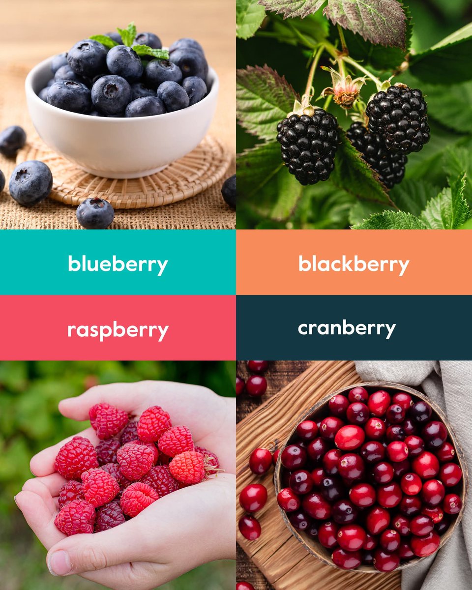 بشرى سارة🎉🎉
المنصة الأولى عالمياً لتعليم اللغة الانجليزية اونلاين وصلت السعودية🇸🇦 

🇺🇸 المنصة الوحيدة الي عندها منهاج امريكي معتمد و يقدر ياخذ امتحان توفل معتمد للاطفال بعد الدورات

📱💻حصة تفاعلية مسليّة من ٢٥ دقيقة مع معلم أجنبي من اختيارك تساعدهم على التفوق في اللّغة.