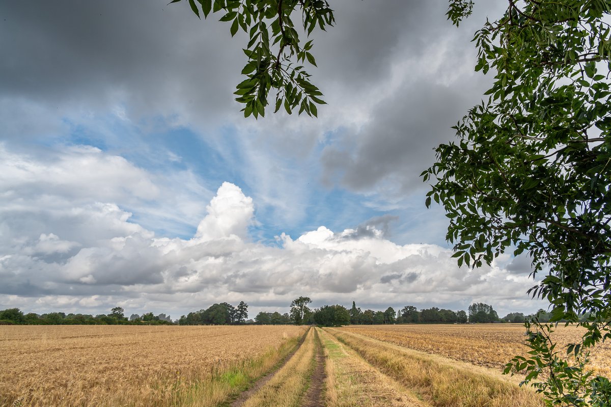 A littel sunshine before the rain clouds closed in at Horningsea this morning.....<a href="/ChrisPage90/">Chris Page - Weatherman</a> <a href="/WeatherAisling/">Aisling Creevey</a> <a href="/CloudAppSoc/">Cloud Appreciation Society</a> <a href="/itvweather/">ITV Weather</a>