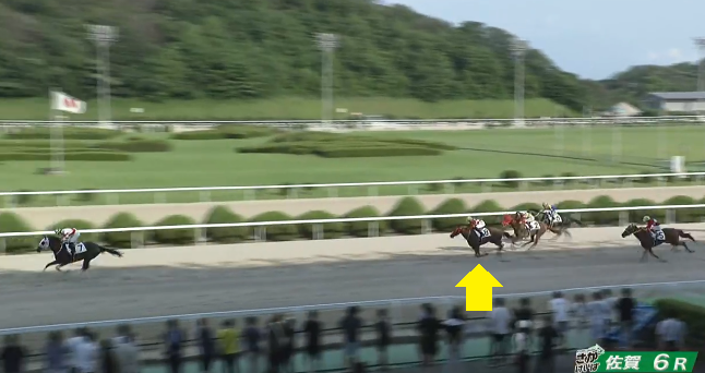 GuardLeader1945's tweet photo. 【7/21 佐賀競馬第6R スターライト特別】

九州産馬エイシンアヤメは奮戦しましたが、2着でした。
さすが特別戦。相手も強いです。

残念ながら4連勝はなりませんでしたが、次も勝利を願って応援したいと思います。
がんばれエイシンアヤメ★★★ https://t.co/W6UjFEMMLU