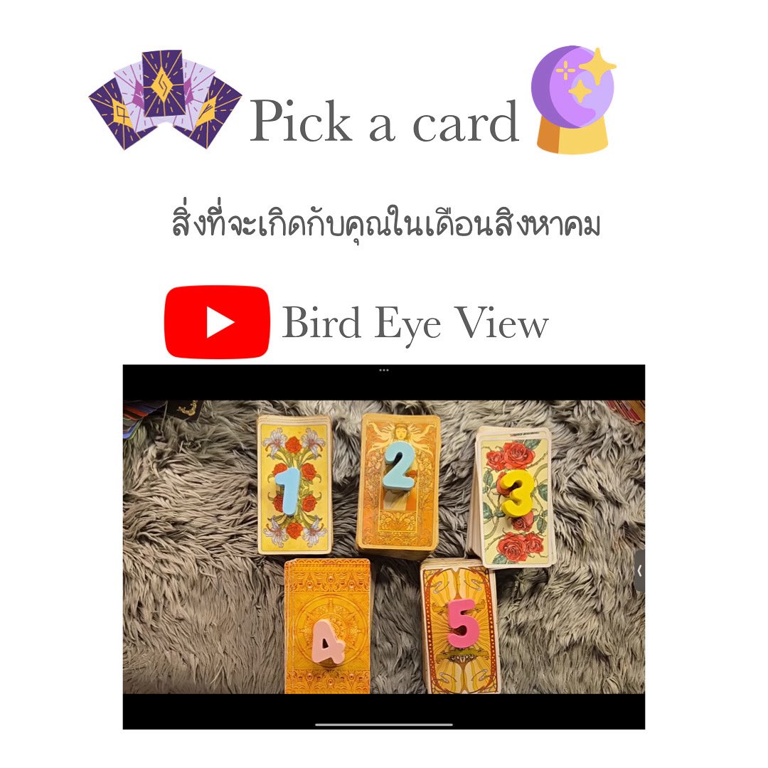 birdeyeview tweet media