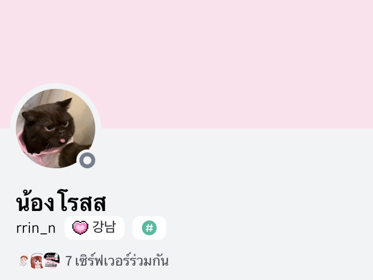 𓆸 tweet media