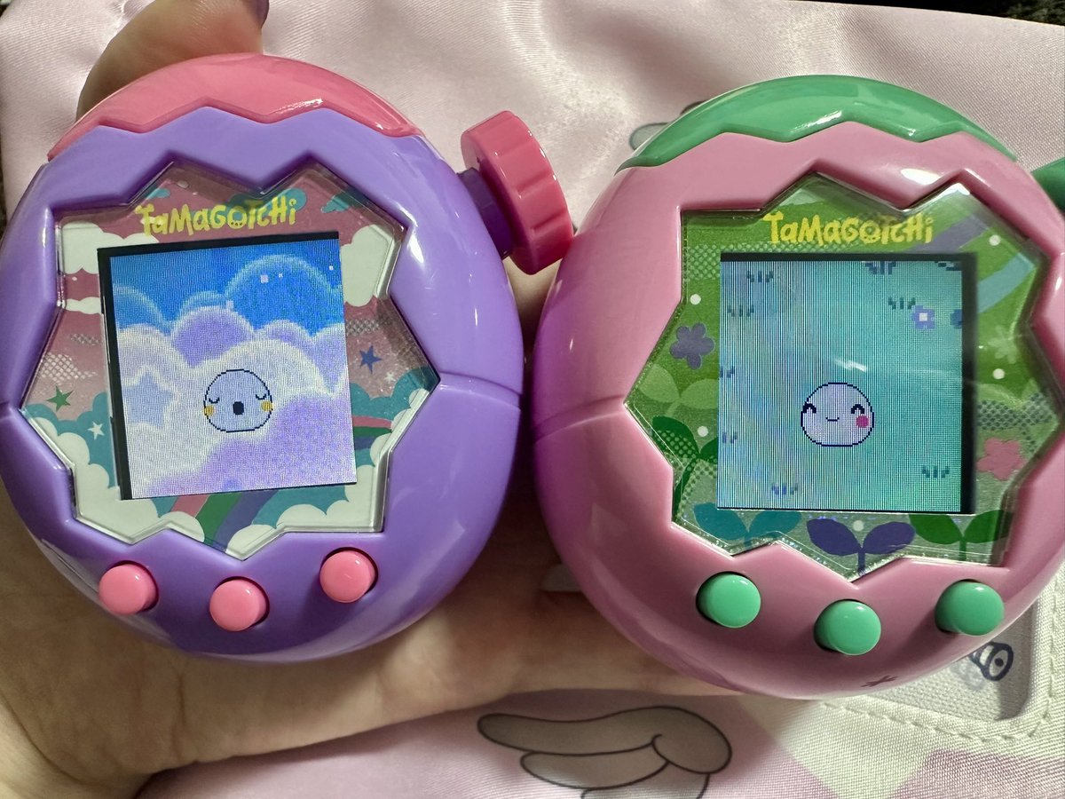 chayo_tmgc's tweet image. 3代目ブリード
おれたっち(ホワイト)💜 × しいぷっち(パステルパ-プル)🩷
生まれた子たち2人ともパステルパ-プル
最初のほーほっちの色から離れられなくなってる🤔
ブリード難しーい